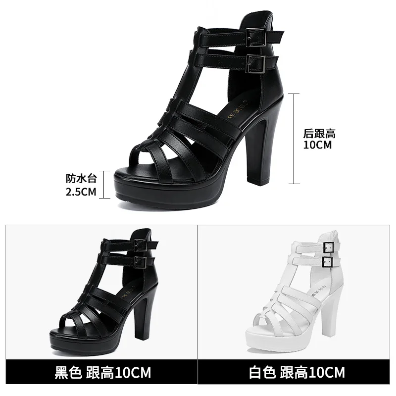 Gladiator Ladies Shoe for Wome - Summer Clothing Stores recension och pris